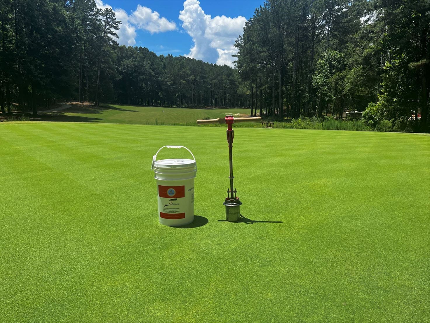 Golf seed for golf course